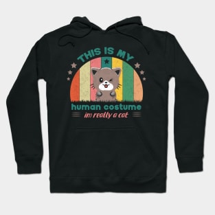 This Is My Human Costume I'm Really A Cat For Cat Lovers Hoodie